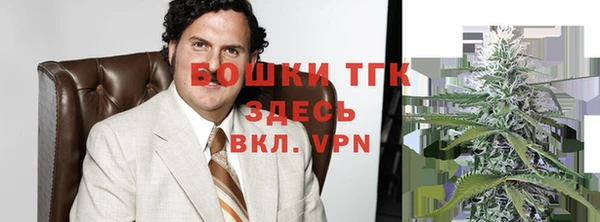 ешки Протвино