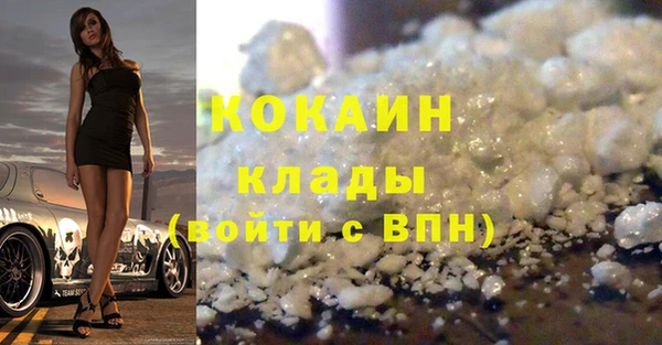 стафф Алзамай