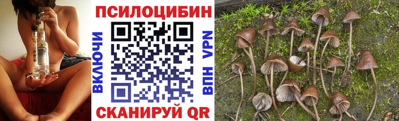 цены наркотик  Новоульяновск  Псилоцибиновые грибы ЛСД 